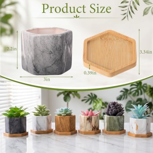 Ziliny Marbling Ceramic Flower Pot Succulent Small Plant Cactus Herbs Planter Ceramic Pot with Drainage Hole Matte Container(6 Pcs,Hexagon Style) - Image 2