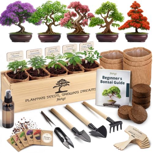 Bonsai Tree Kit Deluxe - Growing 5 Unique Japanese Bonzai Trees by Plantingseedsgrowingdreams