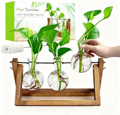 Renmxj Plant Propagation Station, Plant Terrarium with Wooden Stand by Renmxj