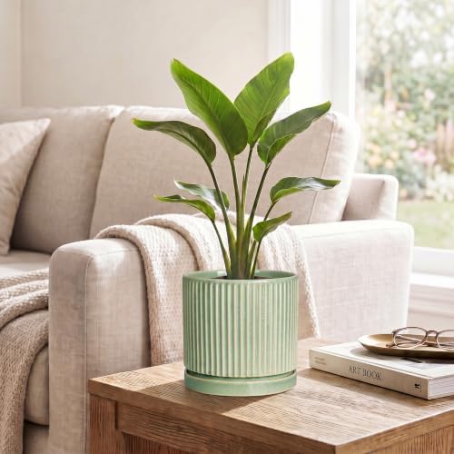 6 Inch Planter, Ceramic Plant Pots, Round Pots for Plants, Green - Image 5
