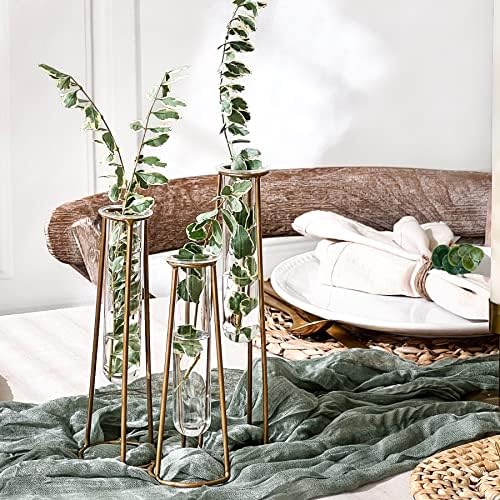Propagation Station Terrariums with Gold Metal Stand - Kate Aspen 3 Glass Test Tube Planters for Indoor Plant, Air Plants, Plant Clippings, Cut Flowers, Herbs, Succulents | Home Decor Table Decoration - Image 4