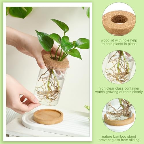 Layhit 4 Pcs Plants Propagation Stations vases Glass Planters with Wooden Lid and Bamboo Stand for Hydroponic Plants Gardening Gifts for Women Mom Home Office Tabletop Decoration(Funny Style) - Image 3