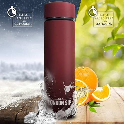 The London Sip Multi-Purpose Travel Mug and Tumbler Fruit Infused Flask Hot and Cold Double Wall Stainless Steel Thermos with Extra-Long Infuser, Sacred Red - Image 5