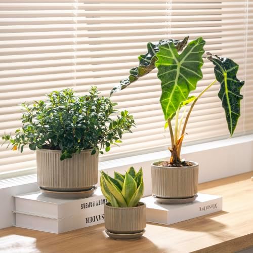 SURE YUESI Ceramic Plant Pots Set of 3, Indoor Outdoor Planters with Drainage Hole and Saucer, Ceramic Flower Pots for Indoor Plants, 4.3+5.5+6.8 Inch, Home, Garden, Patio and Office, Matte Grey - Image 2