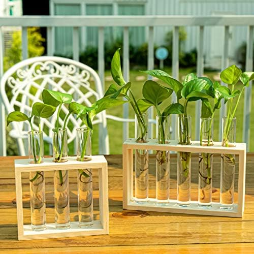 Wooden Propagation Station with 5 Glass Test Tubes, Tabletop Glass Terrarium Holder for Plant Cuttings Hydroponics, Home Office Desk Decor Gift for Women Mom Plant Lovers, Beige - Image 3