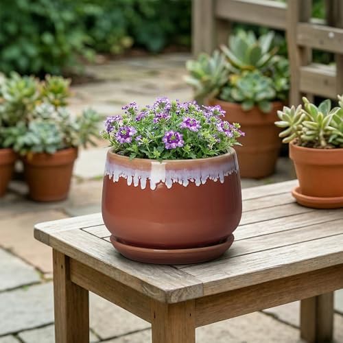 Ceramic Plant Pot - 6 Inch Planters for Indoor Plants, Round Ceramic Planter with Drainage Hole and Saucer, Decorative Small Plant Pots, Room Bookshelf Decor, Red-Purple - Image 4
