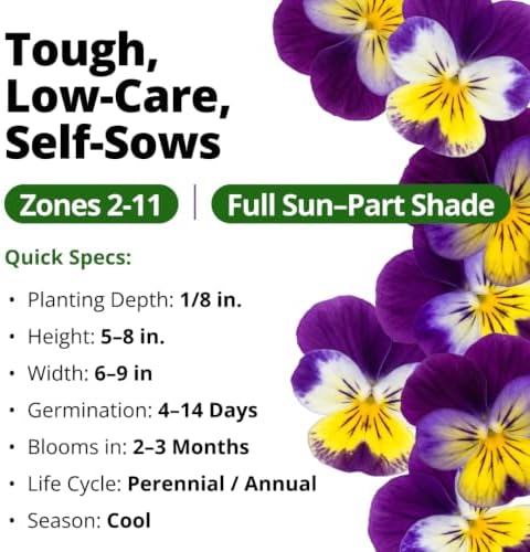 HOME GROWN Johnny Jump Up Helen Mount Viola Seeds, 1,500, Viola Tricolor - Image 3