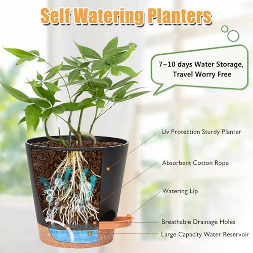 Vanslogreen Planters for Indoor Plants 7/6.5/6/5.5/5 Inch, Self Watering Flower Pots with Drainage Holes and Saucers 5 Pack Plastic Pots for Plants, Succulents, Herbs, Cactus, Flower, Black - Image 2