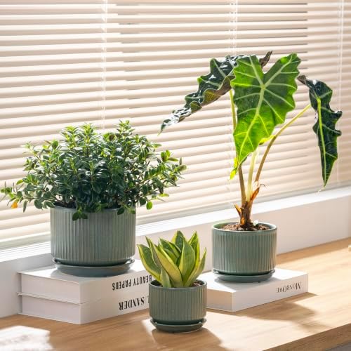 SURE YUESI Ceramic Plant Pots Set of 3, Indoor Outdoor Planters with Drainage Hole and Saucer, Ceramic Flower Pots for Indoor Plants, 4.3+5.5+6.8 Inch, Home, Garden, Patio and Office, Matte Green - Image 2