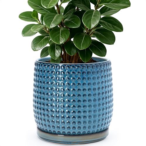 D'vine Dev Beaded Ceramic Pot with Saucer, 8 in, Ocean Teal, 27-C-Q-8 by DvineDevPlanterPotsandStand