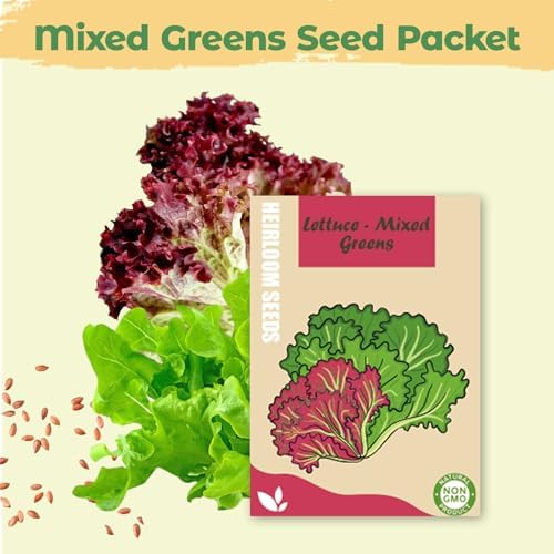 Salad Greens Mix Seed Pod Kit for Aerogarden, 8-Pods Hydroponic Refill Pack, Compatible with All Indoor Gardens, Includes Grow Sponges, Plant Food, Grow Anything Seed Pod Kit, 8-POD - Image 6