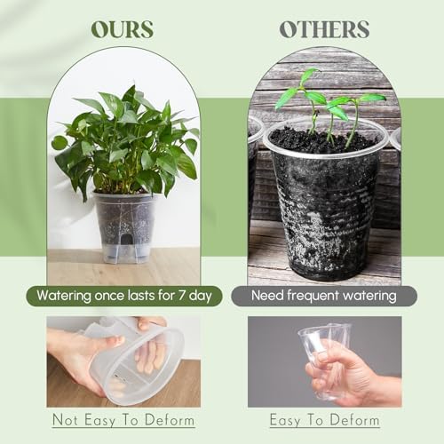 Wonderjune Self Watering Planter, 5.91'', Clear, 6 Pcs - Image 5
