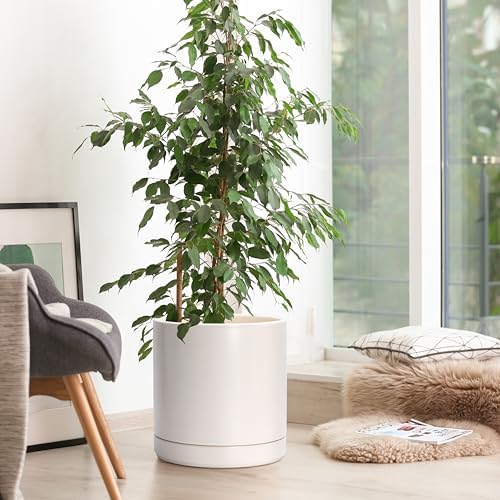 D'vine Dev 10 Inch Ceramic Planter Pot, Oatmeal, 94-O-E-8 - Image 2