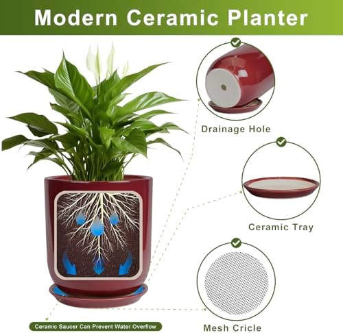 Ceramic Pots for Plants - 12 Inch Plant Pot Indoor with Drainage Hole and Saucer Large Planter Outdoor Flower Pot for Home Patio Office Decor Red - Image 7