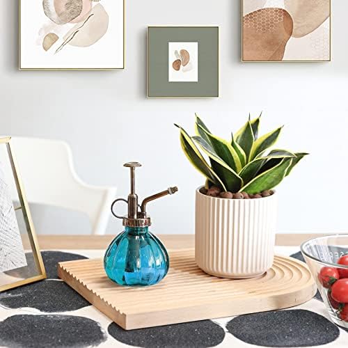 T4U Glass Plant Mister 200ML, Vintage Spray Bottle with Top Pump Fine Mist Flower Garden Sprayer Small Decorative Spritzer Watering Can Gift for Indoor Outdoor Succulent House Plant (Blue) - Image 5