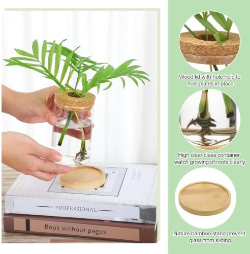 Honeydak 6 Pcs Plants Propagation Stations Glass Propagation Ribbed Vases - Image 4