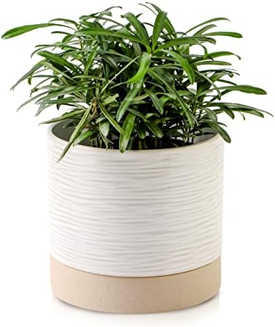 Nihow Ceramic Plant Pot,6 Inch Planter with Drainage Hole&Saucer for Indoor by Nihow