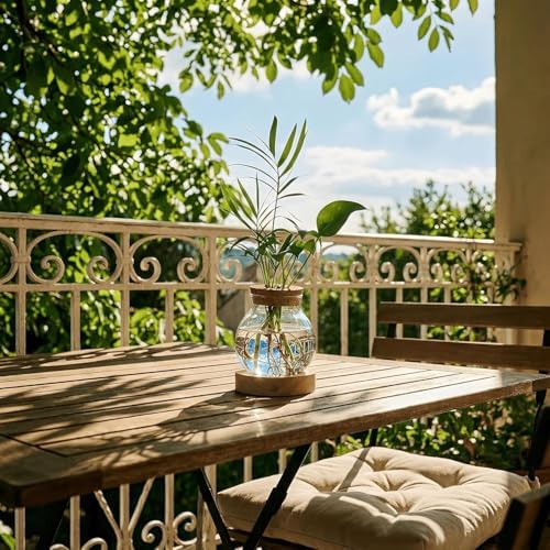 Plant Propagation Station with Light,Everkeen Glass Terrarium with Stepless Dimming Function Hydroponic Glass Container Vase Jars Gardening Gifts for Mom Women Plant Lovers 4 Pack - Image 5