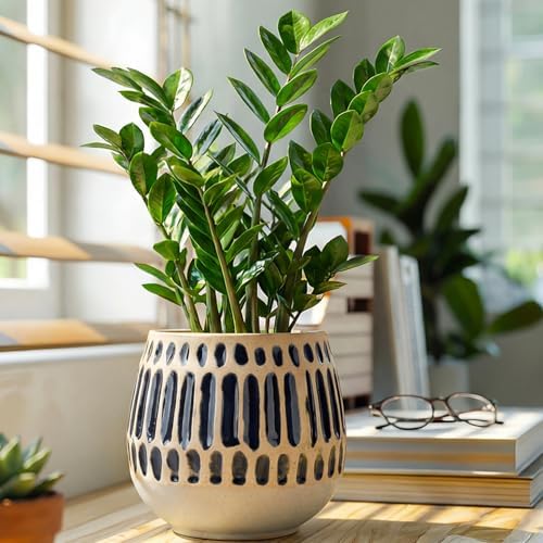 Ceramic Planter 5 Inch Succulent Flower Pot with Blue Stripe - Image 3