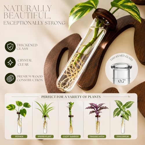 Leaf-Shaped Plant Hanging Propagation Stations with 6 Glass Vases & 1 Spare - Image 2