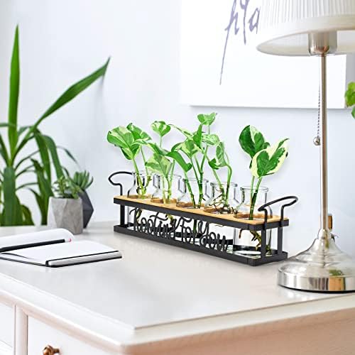 Plant Propagation Station "Rooting for You" Hydroponic Planter Vase - Image 5