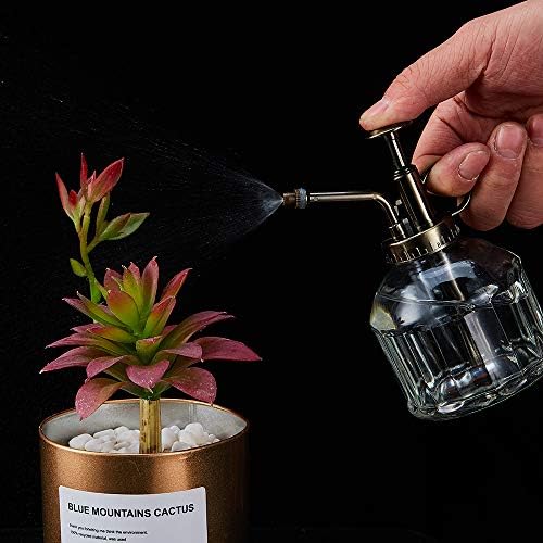 Glass Plant Mister Spray Bottle for Indoor Plants, 200ml/6.7oz, Clear - Image 4