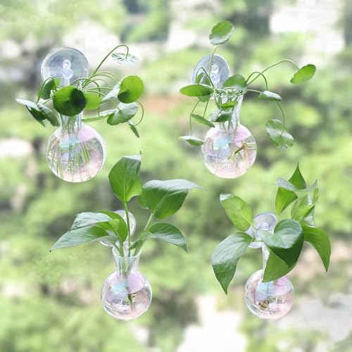 Bunmery 4 pcs Iridescent Window Propagation Stations, Easy to Install Plant Propagation Bulbs with Suckion Cups, No Nails Wall Hanging Planter Propagation Station, Glass Plant Terrarium Vase - Image 2