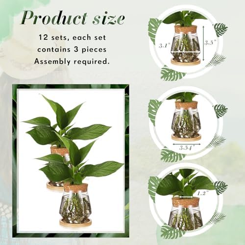 Baderke 12 Pack Propagation Vases for Plants, Cup Style - Image 2