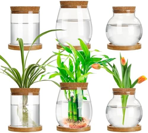 6 Pcs Glass Plant Propagation Station with Wood Lid & Stand, Classic Style by Beeveer