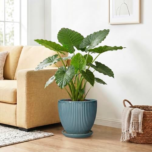 10 Inch Plant Pot, Ceramic Flower Pots with Drainage Hole and Saucer, Round Modern Planters for Indoor Plants, Decorative Plant Pots, Home Patio Decor, Plant Lover Gifts, Glaze Blue - Image 4