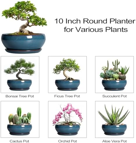 SQOWL Bonsai Pots 10 Inch, Large Ceramic Succulent Pots with Saucer, Blue - Image 7