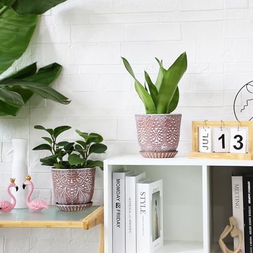 Gepege Ceramic Plant Pots, 6 Inch Indoor Planters with Drainage & Saucers - Image 4