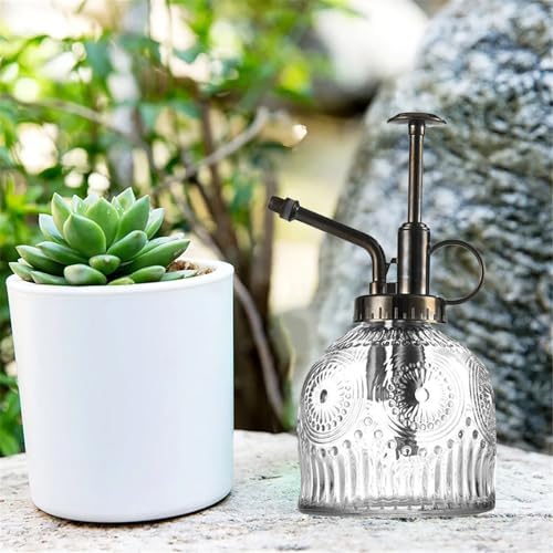 Spray Bottle for Plants, Plant Mister Spray Bottle, Glass Plant Mister Spray Bottle, Embossed Vintage Glass Watering Can, Succulent Watering Bottle with Top Pump for Outdoor (A) - Image 4