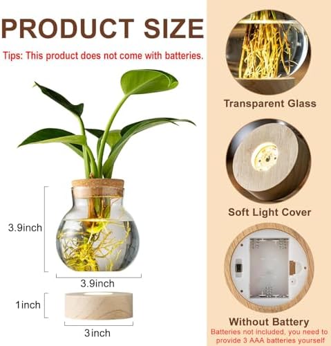 Propagation Stations, Plant Propagation Station with Light Base, Glass Propagation Vases, Hydroponic Vase for Plants, Glass Terrarium for Home Office Windowsill Tabletop Decoration (5) - Image 2