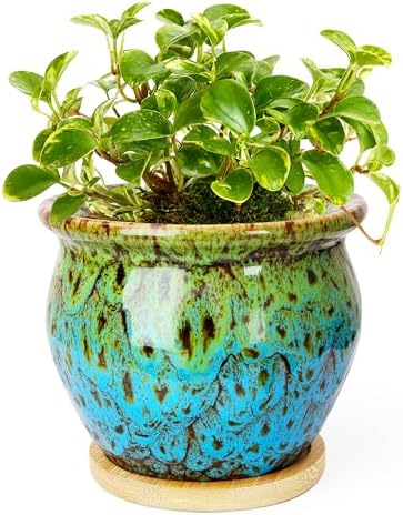 Plant Pots, 4.5 Inch Ceramic Pots for Plant with Drainage, Small Planters by ARTKETTY