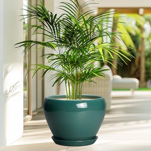 Ceramicfor Ceramic Planter for Indoor Plants 10 Inch, Green - Image 4