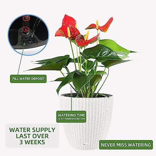 Dexceder 15x14 Self Watering Planter with Wheels (Ivory White Rattan) - Image 5
