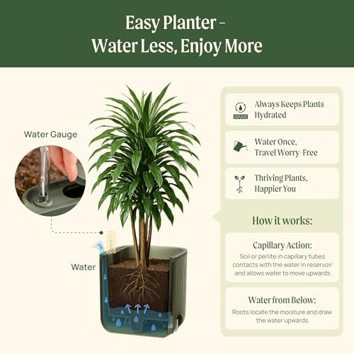 15 Inch Self-Watering Planter for Indoor Plants – Large Modern Plant Pot with Built-In Water Reservoir, Ideal for Monstera, Fiddle Leaf Fig, Palms & Peace Lily, Without Trellis (1, Cream White) - Image 7