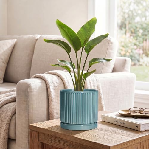 6 Inch Flower Pots, Ceramic Pots for Plants with Tray, Glaze Blue - Image 5
