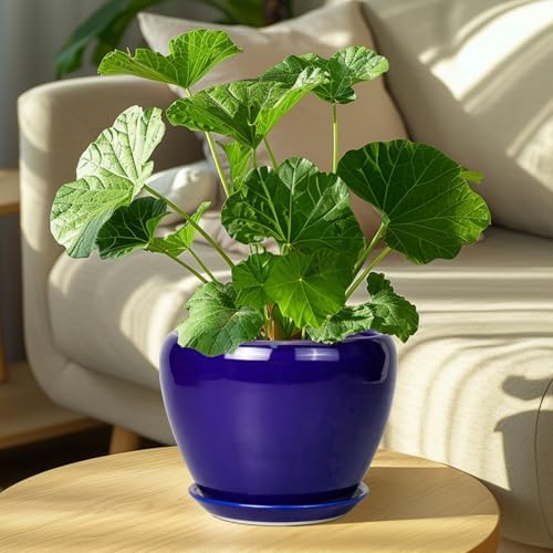 Ceramicfor Ceramic Plant Pot 8 Inch, Planter for Indoor Plants, Royal Blue - Image 4
