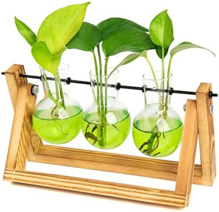XXXFLOWER Plant Terrarium Kit with Wooden Stand 3 Gradient Green Bulb Vases by XXXFLOWER