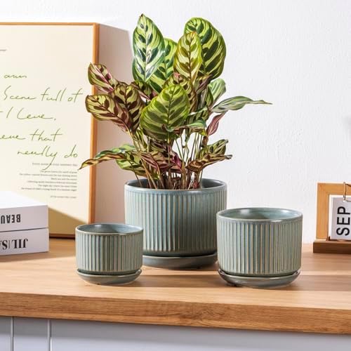 SURE YUESI Ceramic Plant Pots Set of 3, Indoor Outdoor Planters with Drainage Hole and Saucer, Ceramic Flower Pots for Indoor Plants, 4.3+5.5+6.8 Inch, Home, Garden, Patio and Office, Matte Green - Image 4