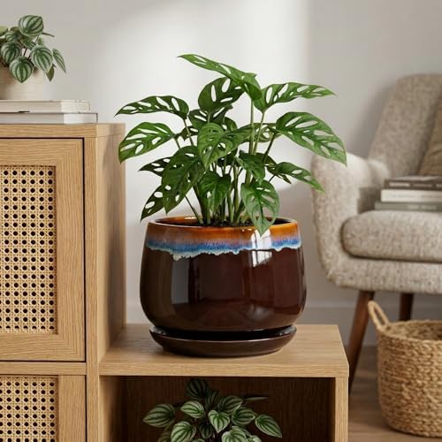 9 Inch Flower Pots - Ceramic Planter with Drainage Hole and Saucer, Decorative Ceramic Pots for Indoor Plants, Round Plant Pot, Garden Home Living Room Decor, Housewarming Gifts, Brown-Blue - Image 4