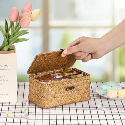 Hipiwe Small Seagrass Wicker Box with Lid Decorative Shelf Basket Bin - Image 4