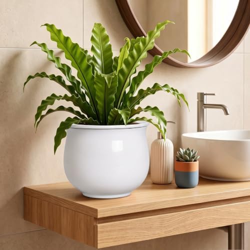 Ceramic African Violet Pot, 8 Inch Self Watering Planter, White - Image 6