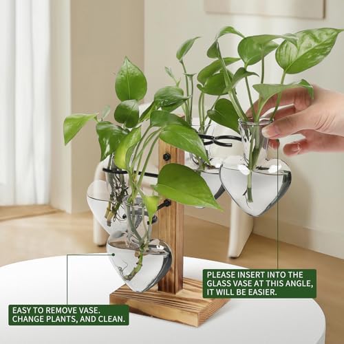 Plant Terrarium Propagation Stations with Wooden Stand - Image 3