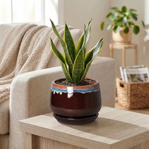 Ceramic Plant Pots - 6 Inch Planter with Drainage Hole and Saucer, Small Succulent Pot for Indoor Plants, Round Decorative Flower Pots, Garden Shelf Decor, Plant Gifts for Women, Brown-Blue - Image 5