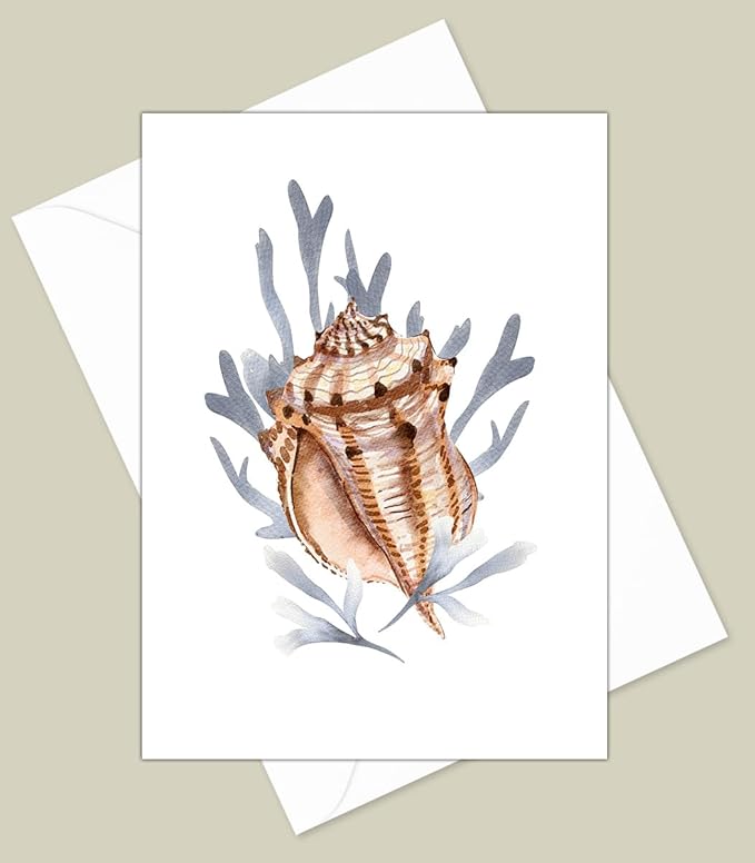 Sea Shell Greeting Cards - Set of 10 All Occasion 5 x 7 Note Cards with Envelopes. Blank Inside. Watercolor Designs of Seashells, Starfish and Coral