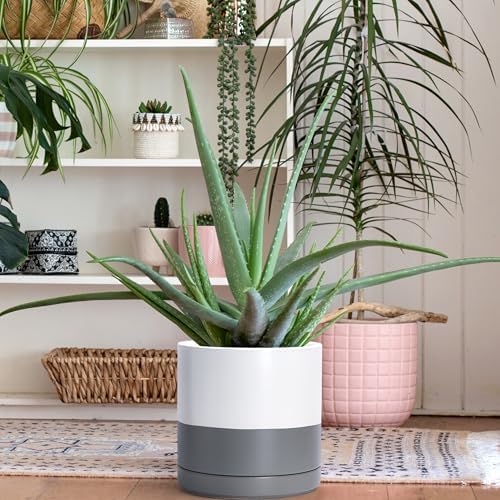 D'vine Dev 10 Inch Ceramic Planter Pot, White/Grey, 94-O-E-6 - Image 2