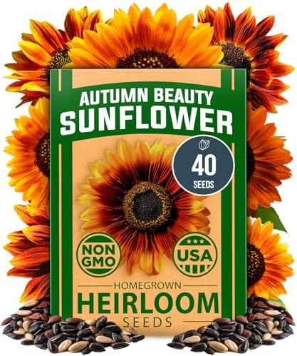 HOME GROWN Autumn Beauty Sunflower Seeds, 40 Seeds, Helianthus annuus by HOMEGROWN